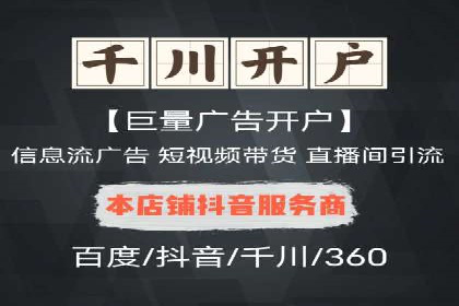 XX领域竞价广告的投放策略及效果展示